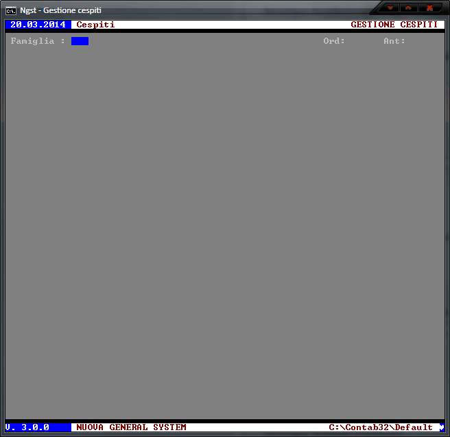 Gestione dei Beni Ammortizzabili