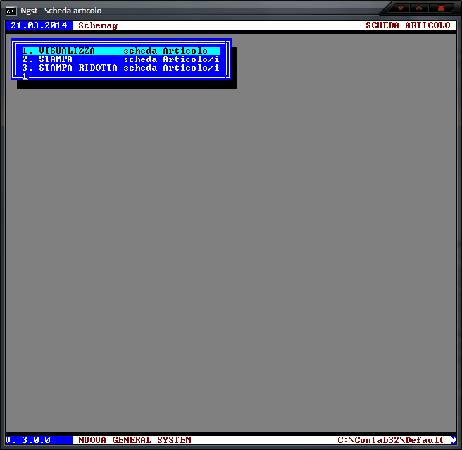 Stampa Schede Articoli